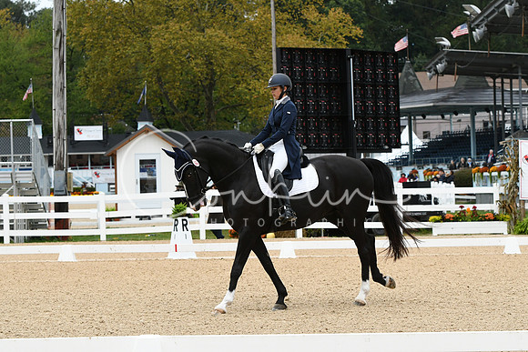 HSM_3013