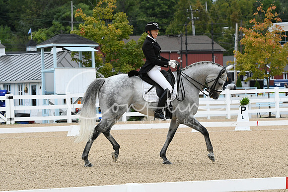 HSM_2504
