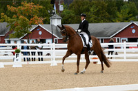 HSM_3617