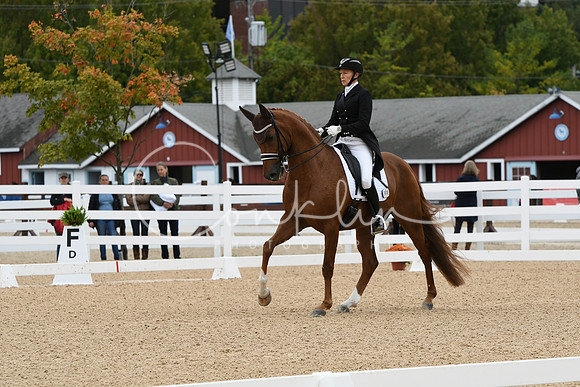 HSM_3617