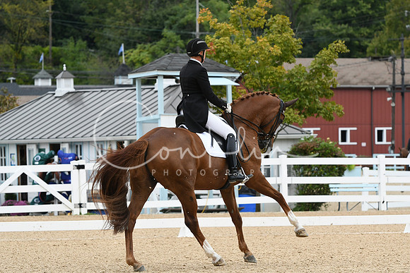 HSM_3669