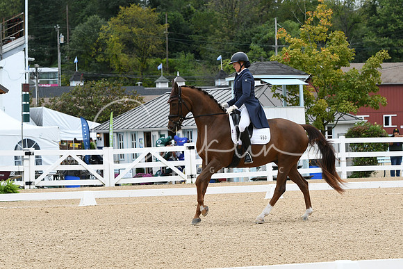HSM_3725