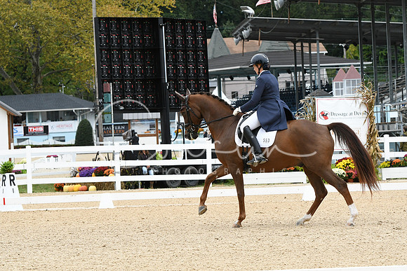 HSM_3741