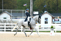 HSM_2334
