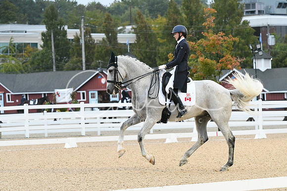 HSM_2377