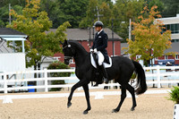 HSM_2784