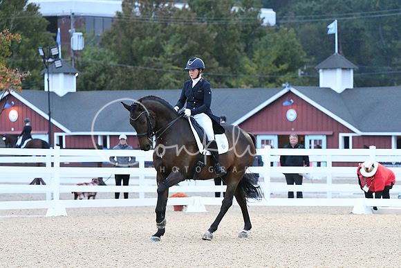 HSM_2397