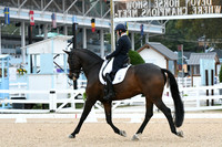 HSM_2407