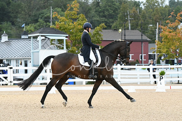 HSM_2410