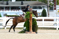 HSM_5461
