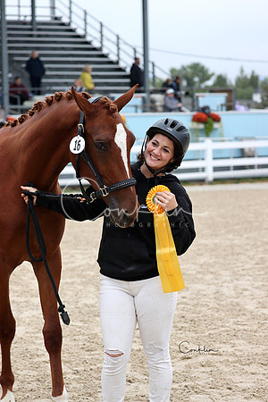 RJC33282-1