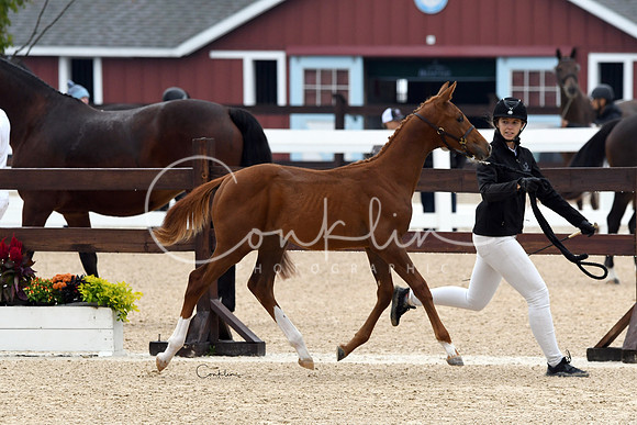 HSM_6281-1