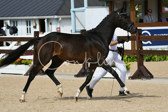 HSM_8852-1