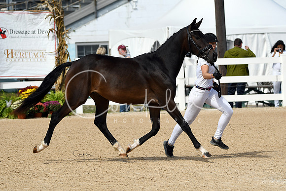 HSM_8850-1