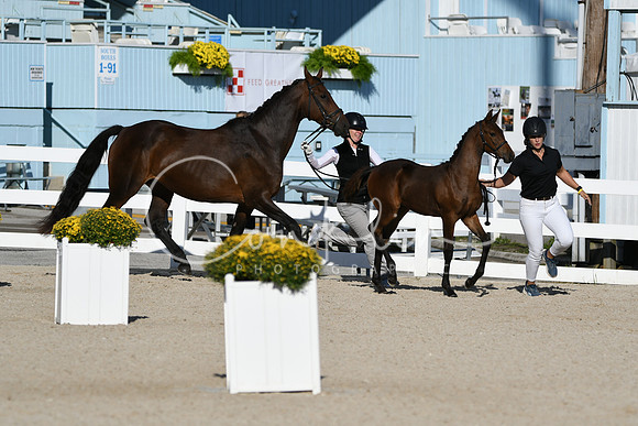HSM_4328