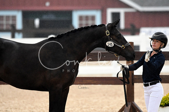 HSM_6591-1