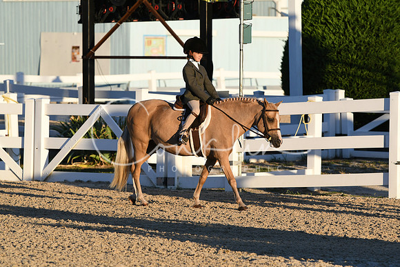 HSM_1566