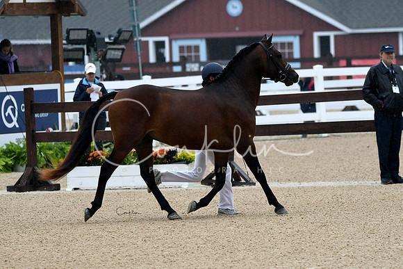 HSM_6174-1