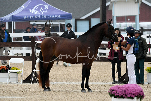 HSM_6166-1