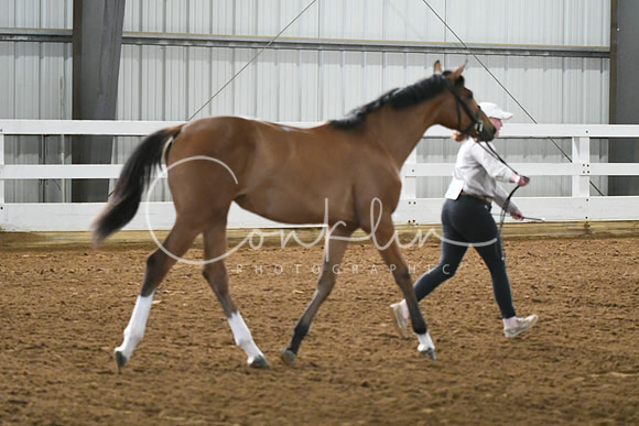 HSM_3633