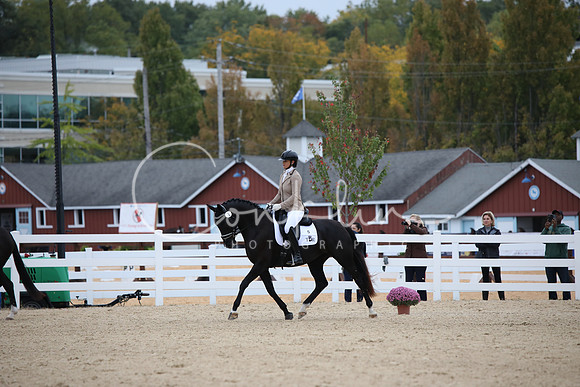 BW240019