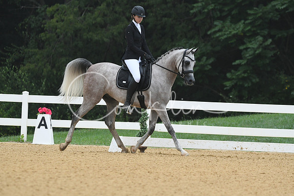 HSM_0635