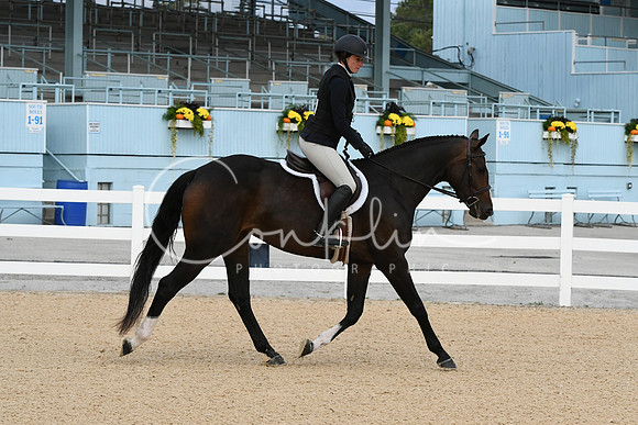 HSM_7071