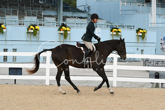 HSM_7197