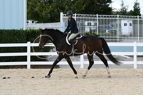 HSM_7981