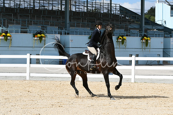 HSM_8034