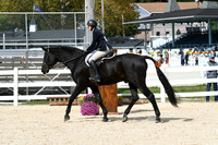 HSM_8785