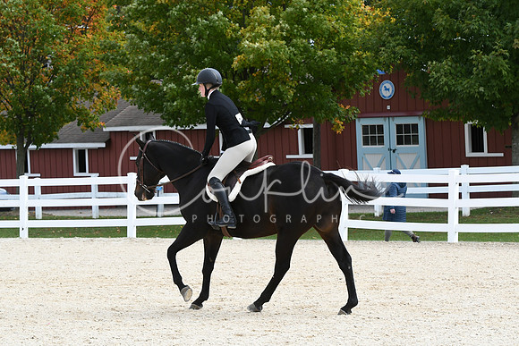 HSM_8831