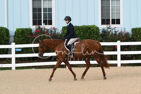HSM_4341