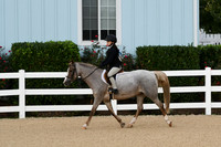 HSM_4351