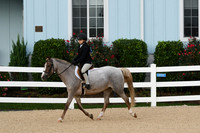 HSM_4353