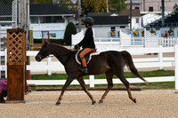 HSM_4354