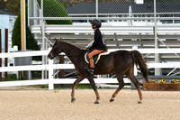 HSM_4355