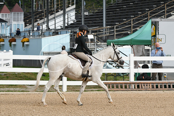 HSM_4371