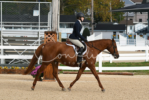 HSM_4376