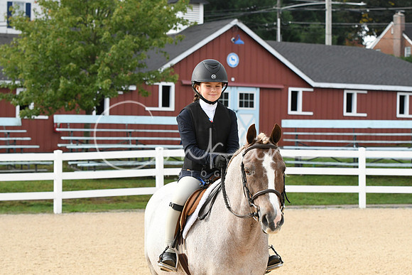 HSM_4379