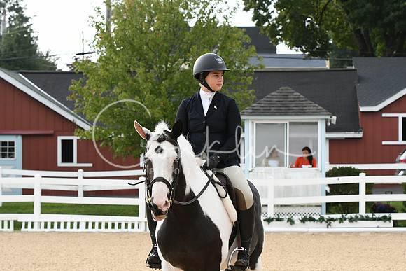 HSM_4387
