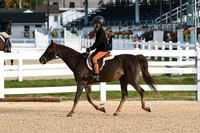 HSM_4339