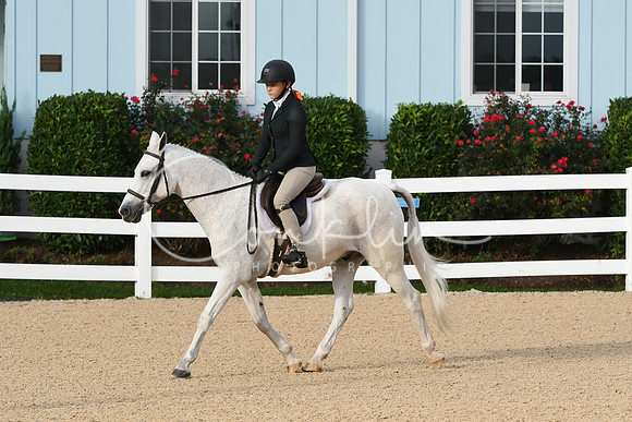 HSM_4337