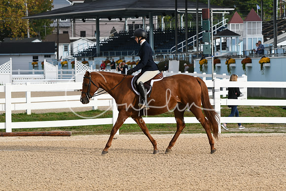 HSM_4338