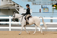 HSM_4404
