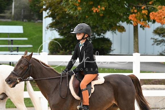 HSM_4409