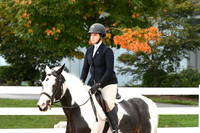 HSM_4410