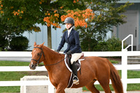 HSM_4412