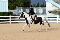 HSM_4413