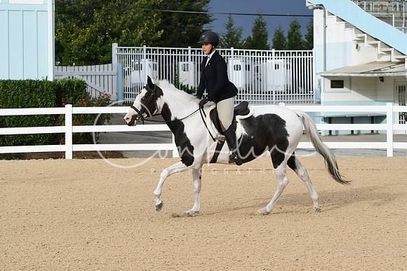 HSM_4413